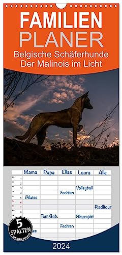 Familienplaner 2024 - Belgische Schäferhunde - Der Malinois im Licht mit 5 Spalten (Wandkalender, 21 cm x 45 cm) CALVENDO