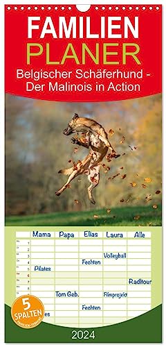 Familienplaner 2024 - Belgischer Schäferhund - Der Malinois in Action mit 5 Spalten (Wandkalender, 21 cm x 45 cm) CALVENDO von CALVENDO