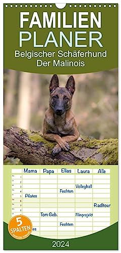 Familienplaner 2024 - Belgischer Schäferhund - Der Malinois mit 5 Spalten (Wandkalender, 21 cm x 45 cm) CALVENDO
