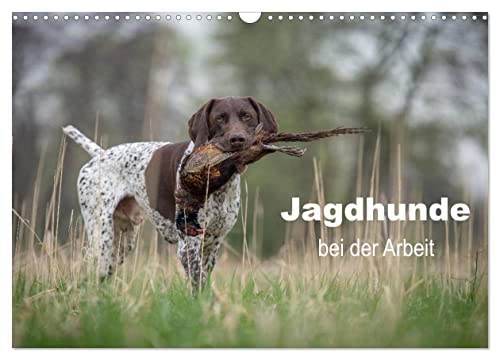 Jagdhunde bei der Arbeit (Wandkalender 2025 DIN A3 quer), CALVENDO Monatskalender von CALVENDO