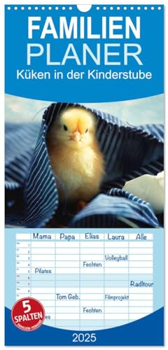 Familienplaner 2025 - Küken in der Kinderstube mit 5 Spalten (Wandkalender, 21 cm x 45 cm), CALVENDO von CALVENDO