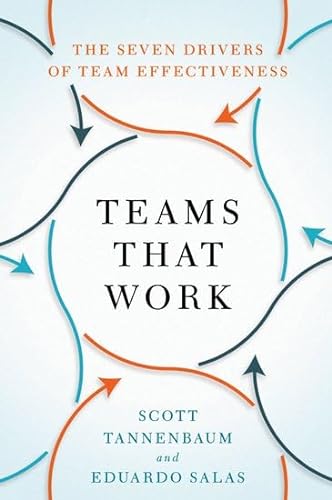 Teams That Work: The Seven Drivers of Team Effectiveness von Oxford University Press Inc