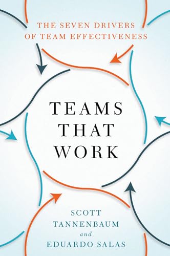 Teams That Work: The Seven Drivers of Team Effectiveness von Oxford University Press Inc