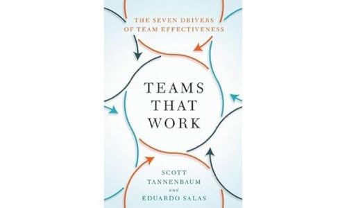 Teams That Work: The Seven Drivers of Team Effectiveness