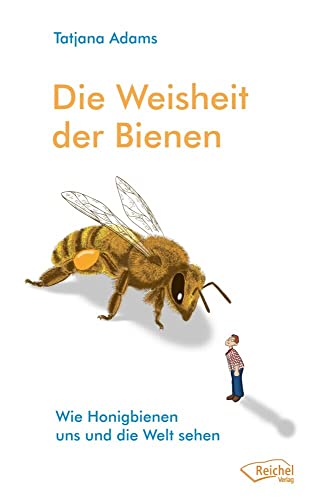 Die Weisheit der Bienen: Wie Honigbienen uns und die Welt sehen