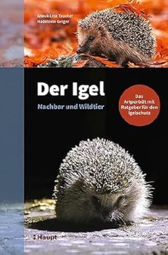 Der Igel – Nachbar und Wildtier: Das Artporträt mit Ratgeber für den Igelschutz von Haupt Verlag AG