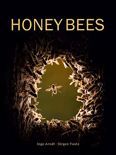 Honey Bees von NHM