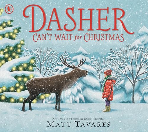 Dasher Can't Wait for Christmas: The magical sequel to the international bestseller and new classic DASHER von WALKER BOOKS