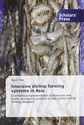 Intensive shrimp farming systems in Asia: Commercial implementation of biosecure and biofloc production systems to help control shrimp farming diseases
