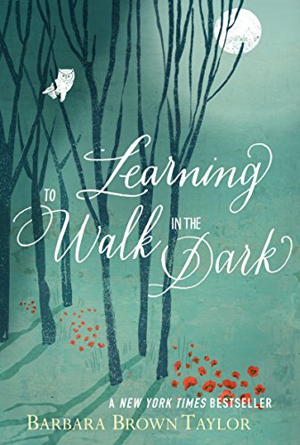 Learning to Walk in the Dark von HarperOne