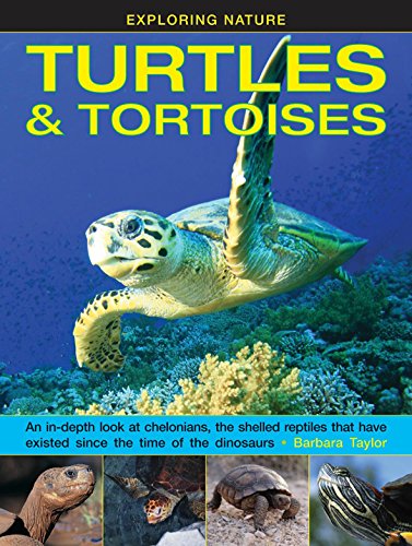 Exploring Nature: Turtles & Tortoises: An in-Depth Look at Chelonians, the Shelled Reptiles That Have Existed Since the Time of Dinosaurs: An In-depth ... Have Existed Since the Time of the Dinosaurs