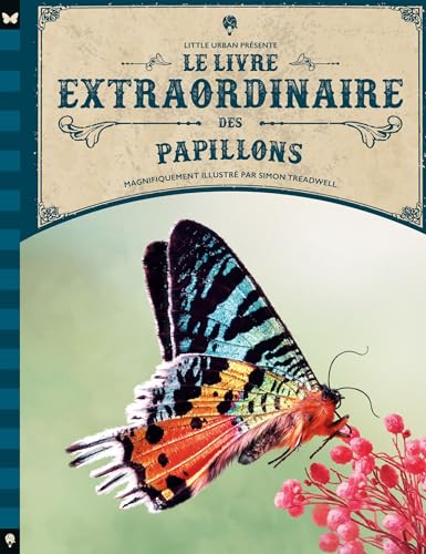Le livre extraordinaire des papillons von LITTLE URBAN