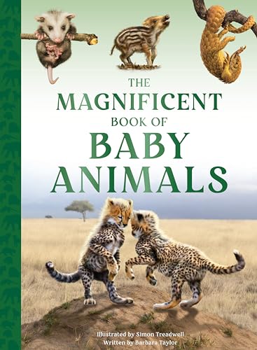 The Magnificent Book of Baby Animals von Weldon Owen Children's Books