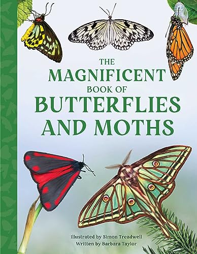 The Magnificent Book of Butterflies & Moths The Magnificent Book of Butterflies & Moths von Weldon Owen