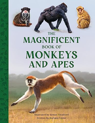 The Magnificent Book of Monkeys and Apes von Weldon Owen