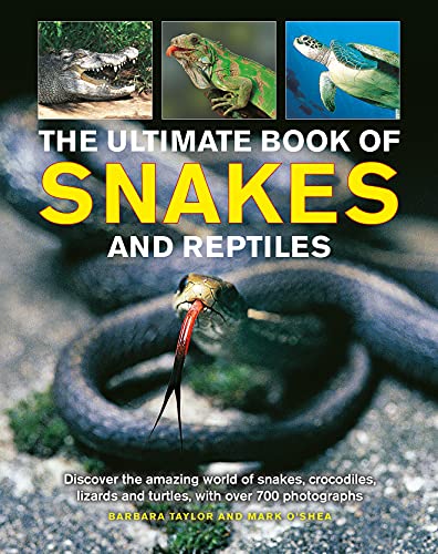 The Ultimate Book of Snakes and Reptiles: Discover the Amazing World of Snakes, Crocodiles, Lizards and Turtles, With over 700 Photographs von Armadillo Books
