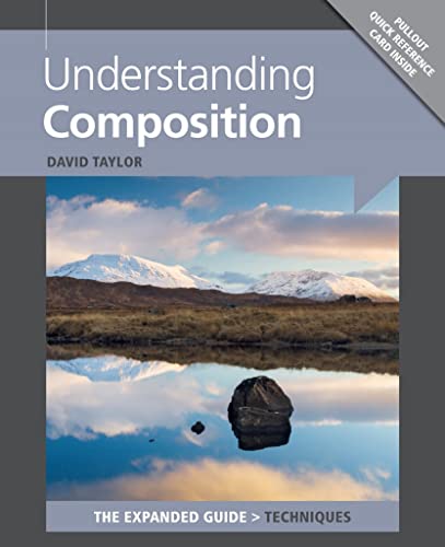 Understanding Composition: The Expanded Guide: Techniques