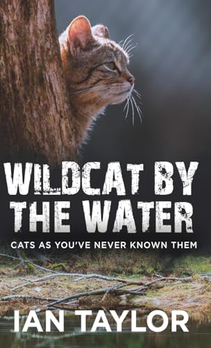 Wildcat By The Water: Cats As You've Never Known Them von Next Chapter