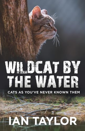 Wildcat By The Water: Cats As You've Never Known Them von Next Chapter