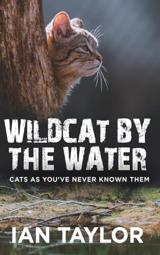 Wildcat By The Water: Cats As You've Never Known Them von Next Chapter
