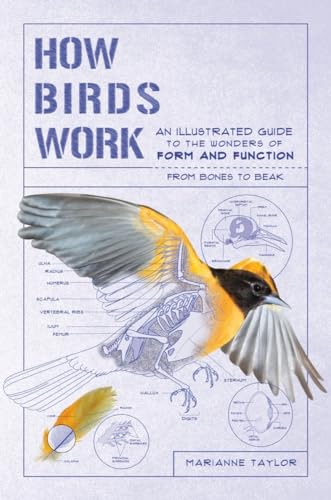 How Birds Work: An Illustrated Guide to the Wonders of Form and Function―from Bones to Beak (How Nature Works)