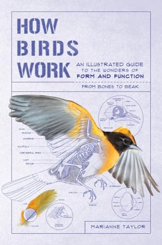 How Birds Work: An Illustrated Guide to the Wonders of Form and Function―from Bones to Beak (How Nature Works) von Experiment