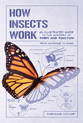 How Insects Work: An Illustrated Guide to the Wonders of Form and Function―from Antennae to Wings (How Nature Works)