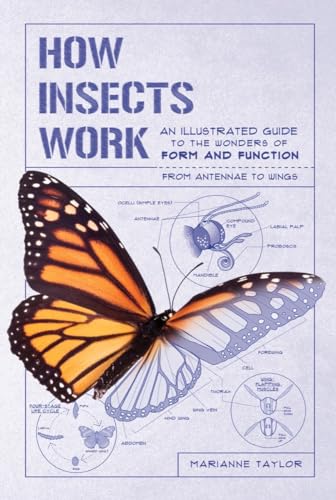 How Insects Work: An Illustrated Guide to the Wonders of Form and Function―from Antennae to Wings (How Nature Works)