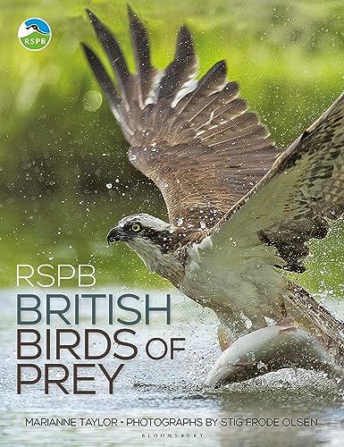 RSPB British Birds of Prey von Bloomsbury