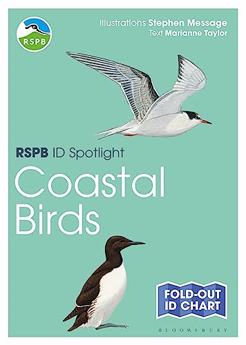 RSPB ID Spotlight - Coastal Birds RSPB ID Spotlight - Coastal Birds