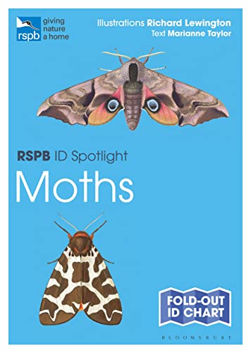 RSPB ID Spotlight - Moths: Fold-out Id Chart RSPB ID Spotlight - Moths: Fold-out Id Chart von Bloomsbury