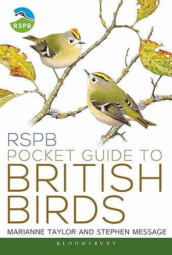 RSPB Pocket Guide to British Birds von Bloomsbury Wildlife