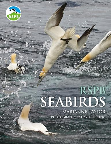 RSPB Seabirds von Bloomsbury