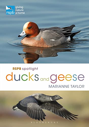 RSPB Spotlight Ducks and Geese RSPB Spotlight Ducks and Geese