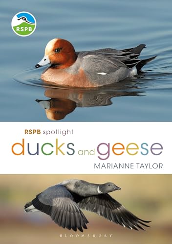 RSPB Spotlight Ducks and Geese