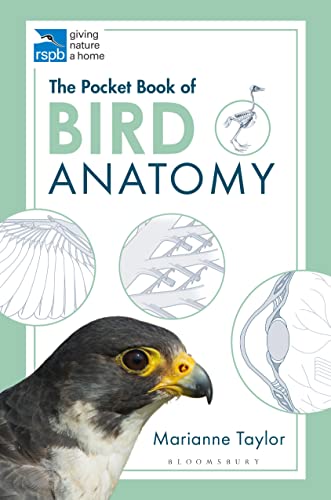 The Pocket Book of Bird Anatomy (RSPB) von Bloomsbury