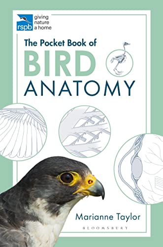 The Pocket Book of Bird Anatomy (RSPB) von Bloomsbury Wildlife