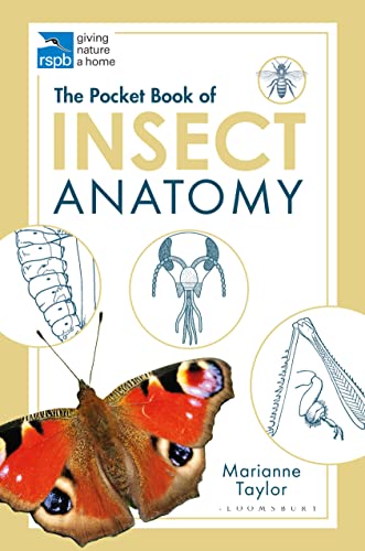 The Pocket Book of Insect Anatomy (RSPB) von Bloomsbury
