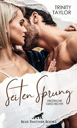 SeitenSprung | Erotische Geschichte + 1 weitere Geschichte: Und so machen sich alle vier gierig übereinander her … (Love, Passion & Sex) von blue panther books