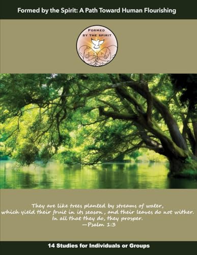 Formed by the Spirit: A Path Toward Human Flourishing von Cumberland Presbyterian Church