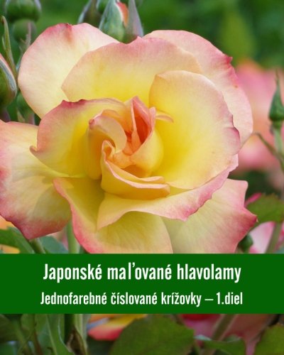 Japonské mal'ované hlavolamy: Jednofarebné ćíslované krîžovky - 1. diel