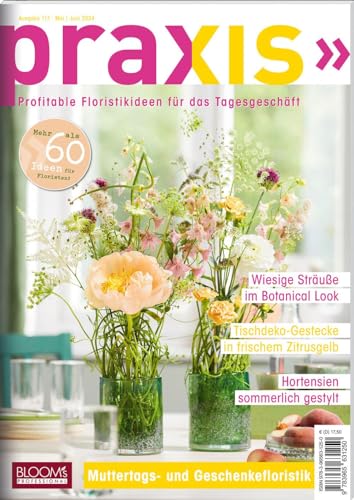 PRAXIS Nr. 117: Profitable Floristikideen für das Tagesgeschäft (PRAXIS - Das Magazin) von BLOOM'S