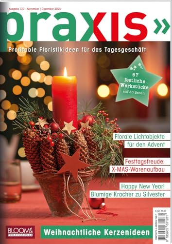 PRAXIS Nr. 120: Profitable Floristikideen für das Tagesgeschäft (PRAXIS - Das Magazin)