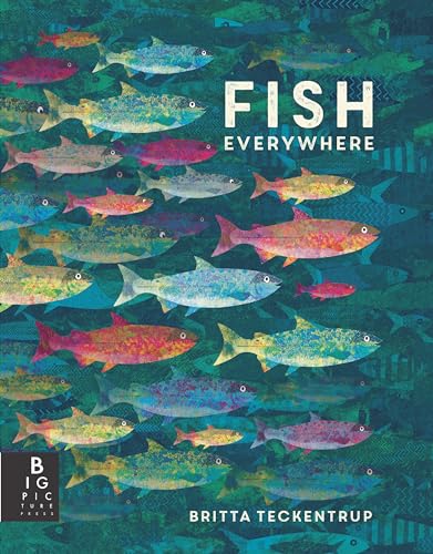 Fish Everywhere (Animals Everywhere) von Big Picture Press