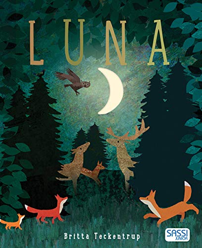 PICTURE BOOKS - LUNA - N.E. 20 von SASSI JUNIOR