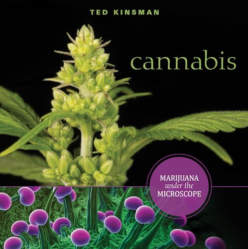 Cannabis: Marijuana Under the Microscope