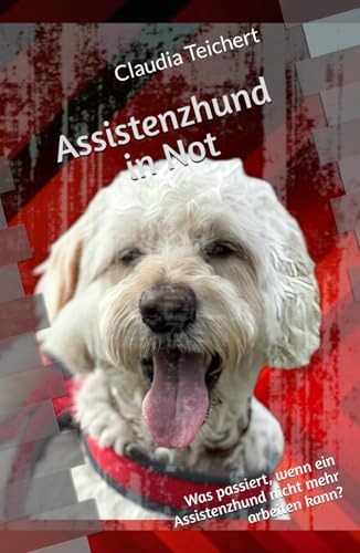 Assistenzhund in Not: Was passiert, wenn ein Assistenzhund nicht mehr arbeiten kann?