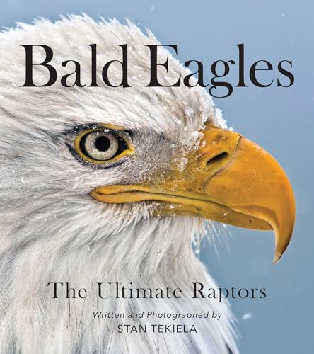 Bald Eagles: The Ultimate Raptors (Favorite Wildlife)