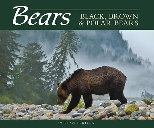 Bears: Black, Brown & Polar Bears (Wildlife Appreciation)