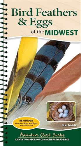 Bird Feathers & Eggs of the Midwest: Identify 40 Species of Common Backyard Birds (Adventure Quick Guides) von Adventure Publications